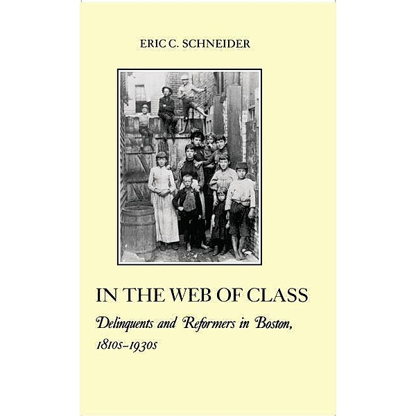 In the Web of Class, Eric C. Schneider