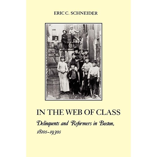 In the Web of Class / The American Social Experience Bd.10, Eric C. Schneider