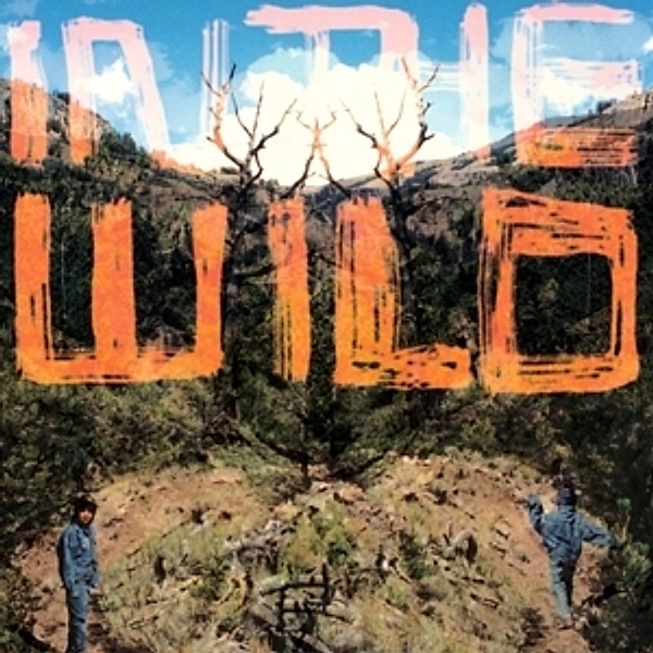 In The Wild (2lp+Mp3) (Vinyl), FaltyDL