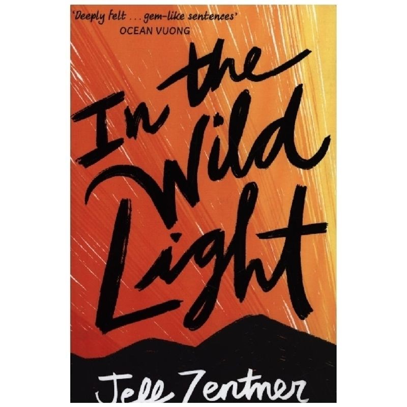 Image of In The Wild Light - Jeff Zentner, Kartoniert (TB)