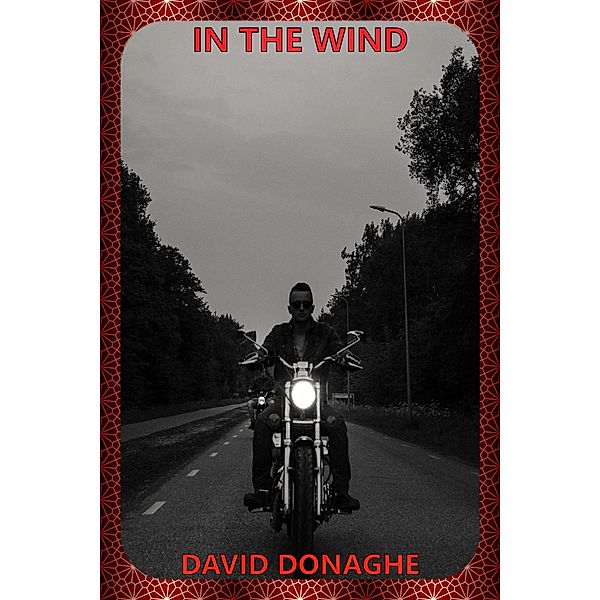 In the Wind (The Mike McDonald Action Adventure Saga, #2) / The Mike McDonald Action Adventure Saga, David Donaghe