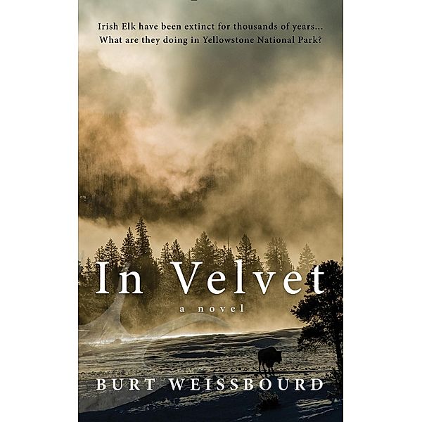 In Velvet, Burt Weissbourd