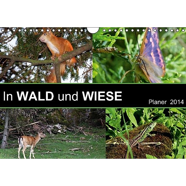 In WALD und WIESE (Wandkalender 2014 DIN A4 quer), Daniel "Pöz" Pelz, Daniel "Pöz" Pelz