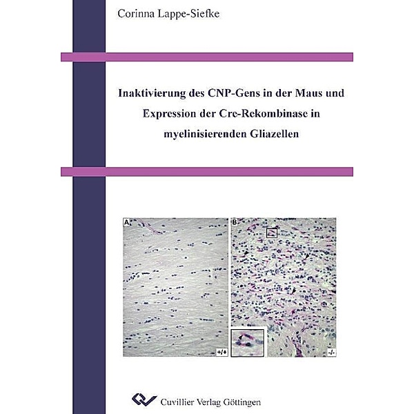 Inaktivierung des CNP-Gens in der Maus und Expression der Cre-Rekombinase in myelinisierenden Gliazellen