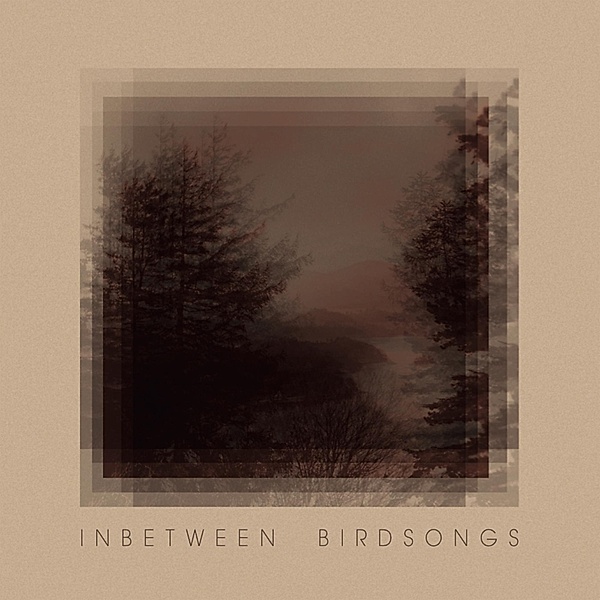 Inbetween Birdsongs (Vinyl), Matthias Gusset
