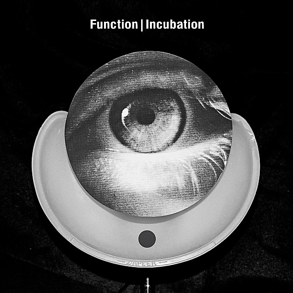 Incubation, Function