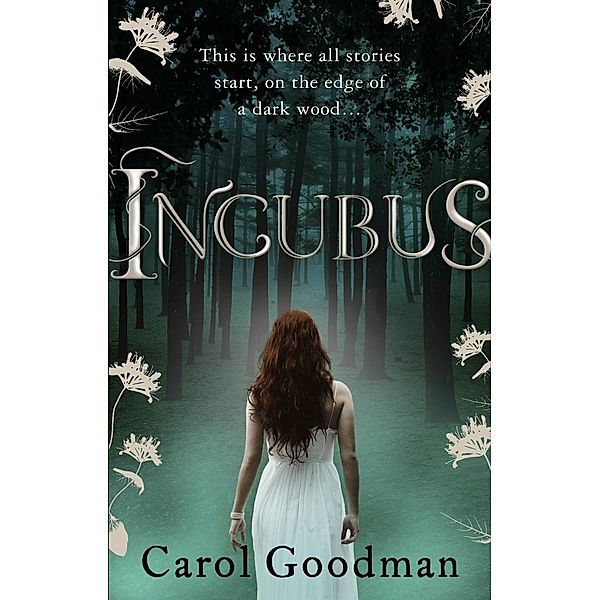 Incubus / Fairwick Chronicles Bd.1, Carol Goodman