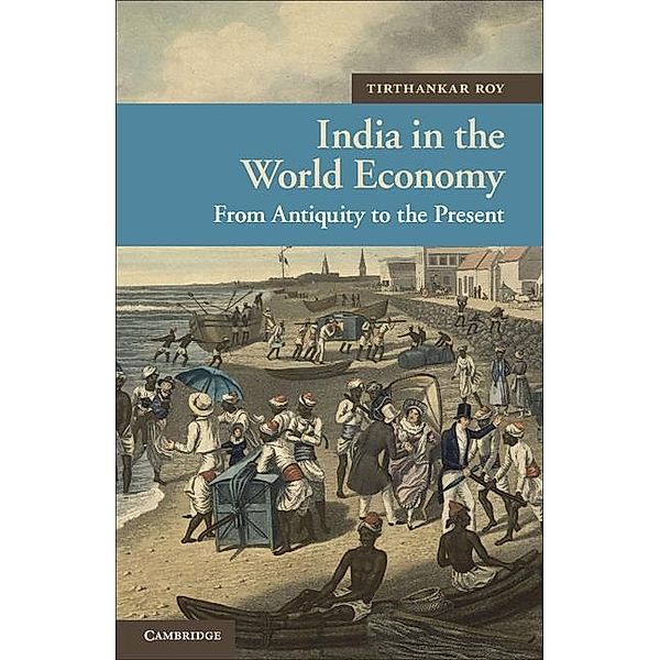 India in the World Economy / New Approaches to Asian History, Tirthankar Roy