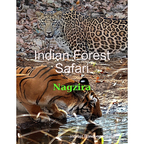 Indian Forest Safari - Nagzira, Indrajit Bandyopadhyay