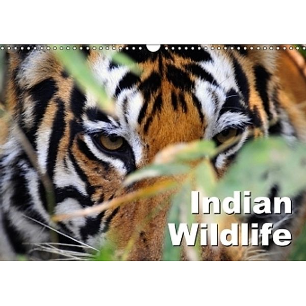 Indian Wildlife (Wall Calendar 2017 DIN A3 Landscape), Manfred Bergermann