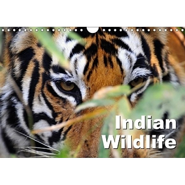 Indian Wildlife (Wall Calendar 2017 DIN A4 Landscape), Manfred Bergermann