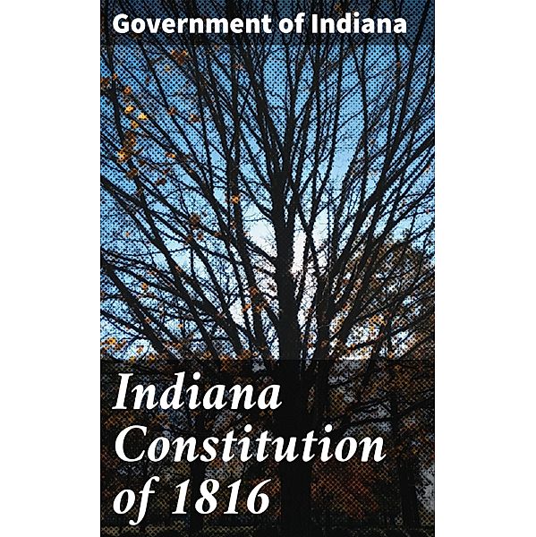 Indiana Constitution of 1816, Government of Indiana