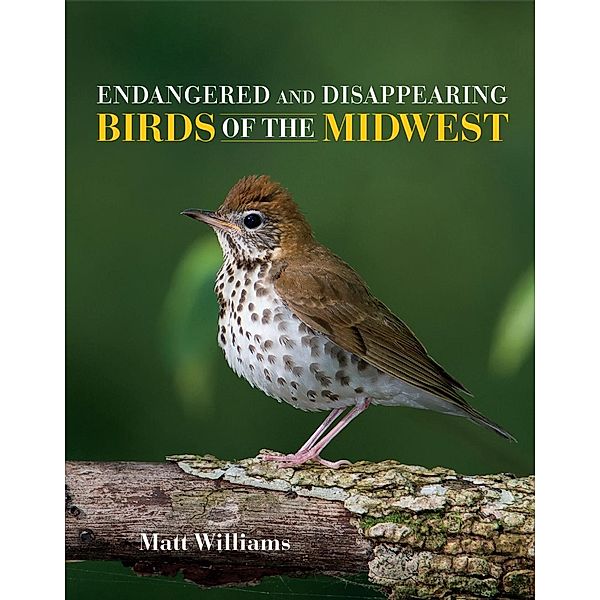 Indiana University Press: Endangered and Disappearing Birds of the Midwest, Matt Williams