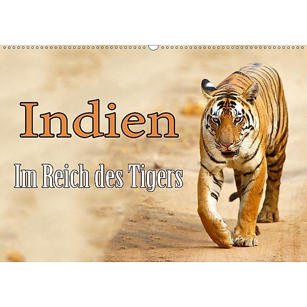 Indien - Im Reich des Tigers (Wandkalender 2020 DIN A2 quer), Stefan Schütter