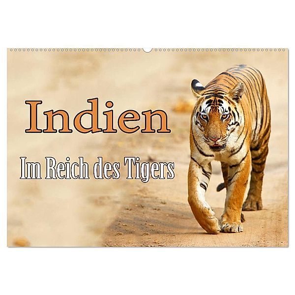 Indien - Im Reich des Tigers (Wandkalender 2025 DIN A2 quer), CALVENDO Monatskalender, Calvendo, Stefan Schütter