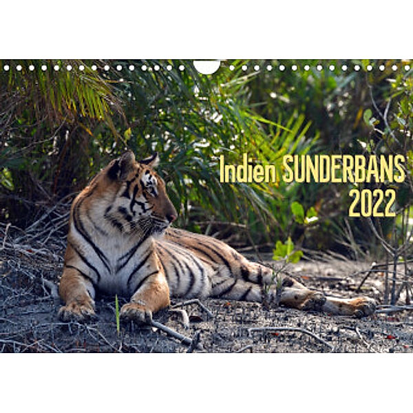 Indien  Sunderbans (Wandkalender 2022 DIN A4 quer), Manfred Bergermann