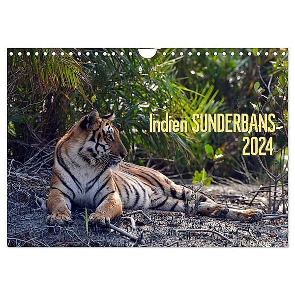 Indien Sunderbans (Wandkalender 2024 DIN A4 quer), CALVENDO Monatskalender, Manfred Bergermann