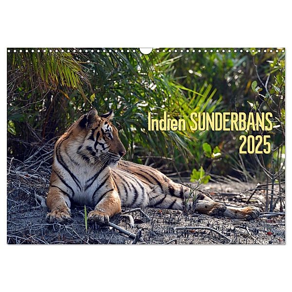 Indien Sunderbans (Wandkalender 2025 DIN A3 quer), CALVENDO Monatskalender, Calvendo, Manfred Bergermann