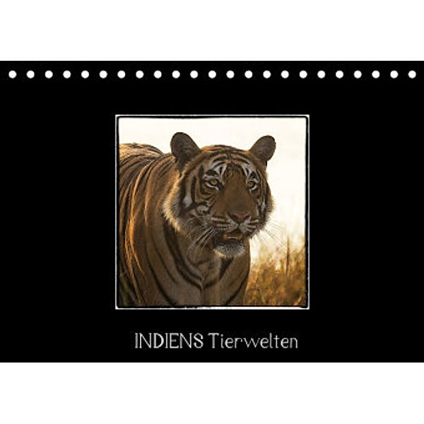 Indiens Tierwelten (Tischkalender 2022 DIN A5 quer), www.WeltWeitBilder.de