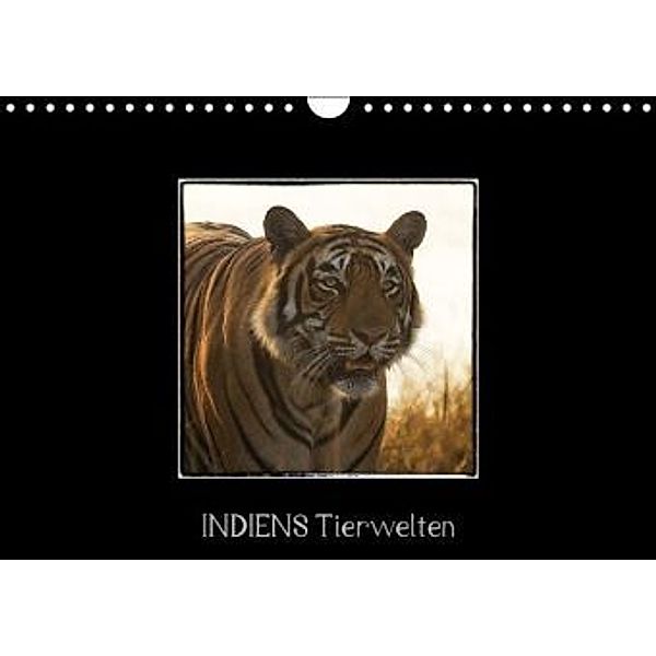 Indiens Tierwelten (Wandkalender 2016 DIN A4 quer), www.WeltWeitBilder.de