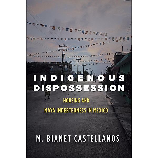 Indigenous Dispossession, M. Bianet Castellanos