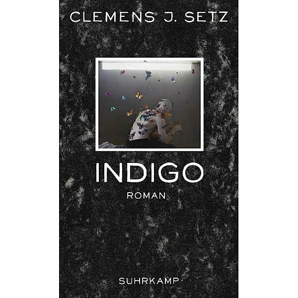 Indigo, Clemens J. Setz
