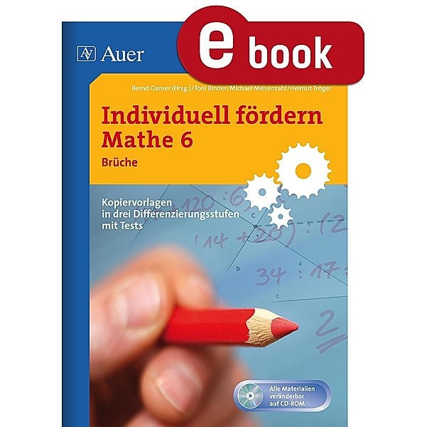 Individuell fördern Mathe 6 Brüche / Individuell fördern Mathe