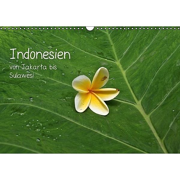 Indonesien von Jakarta bis Sulawesi (Wandkalender 2016 DIN A3 quer), Hoschisan