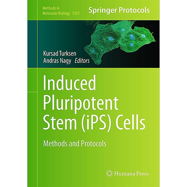 Induced Pluripotent Stem (iPS) Cells