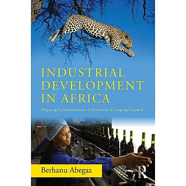 Industrial Development in Africa, Berhanu Abegaz