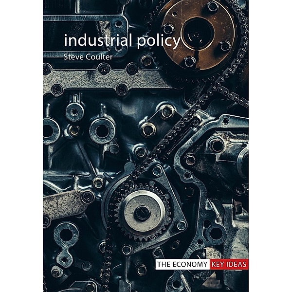 Industrial Policy / The Economy Key Ideas, Steve Coulter