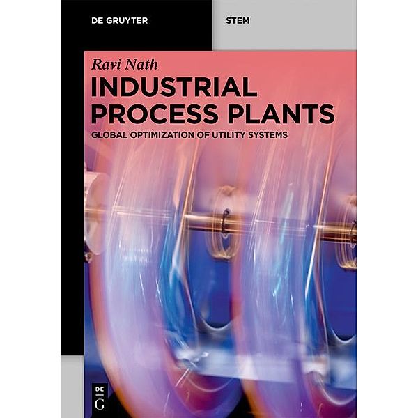 Industrial Process Plants / De Gruyter STEM, Ravi Nath