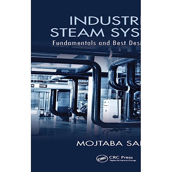 Industrial Steam Systems, Mojtaba Sabet