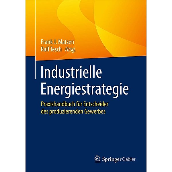 Industrielle Energiestrategie