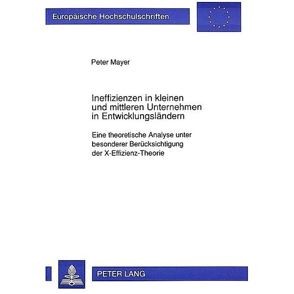 Ineffizienzen in kleinen und mittleren Unternehmen in Entwicklungsländern, Peter Mayer