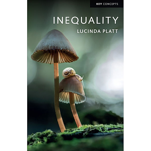 Inequality, Lucinda Platt