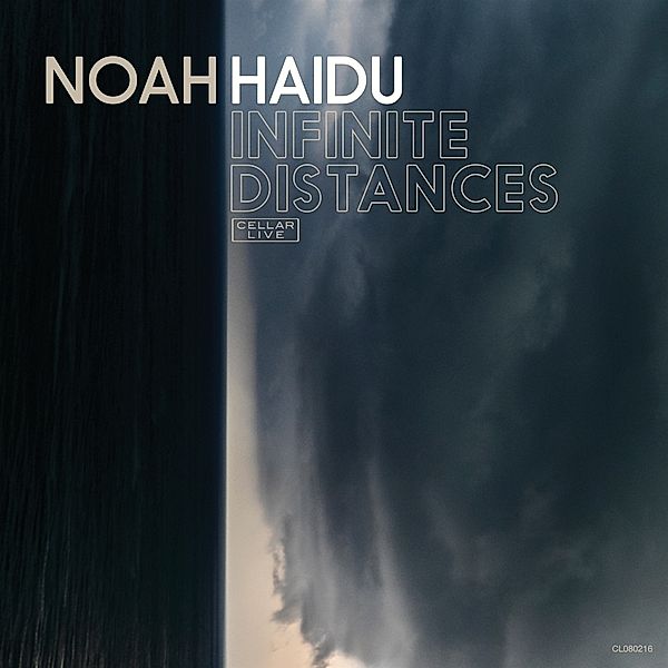 Infinite Distances, Noah Haidu