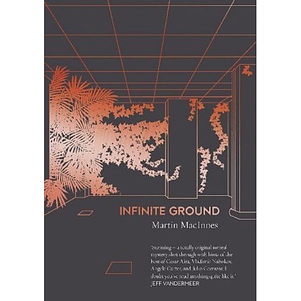 Infinite Ground, Martin MacInnes