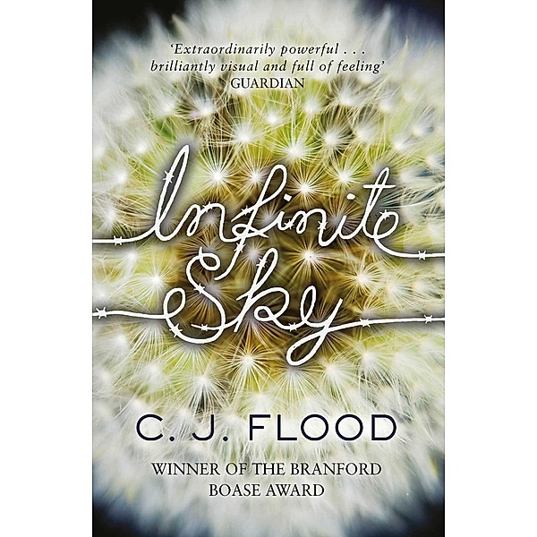 Infinite Sky, C. J. Flood