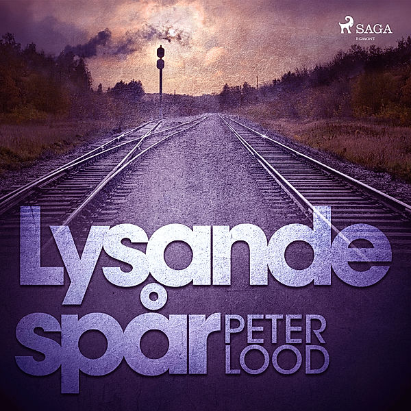 Infrastrukturserien - 1 - Lysande spår, Peter Lood