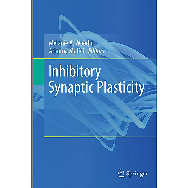 Inhibitory Synaptic Plasticity