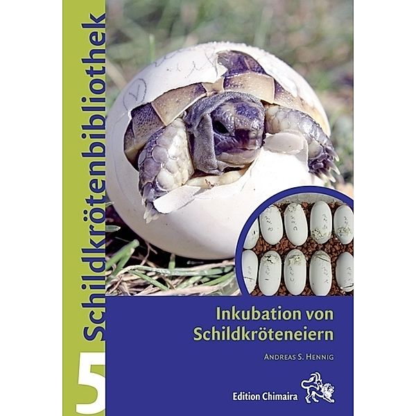 Inkubation von Schildkröteneiern, Andreas S. Hennig