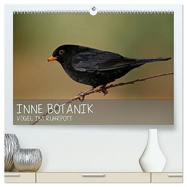INNE BOTANIK - Vögel im Ruhrpott (hochwertiger Premium Wandkalender 2024 DIN A2 quer), Kunstdruck in Hochglanz, Alexander Krebs