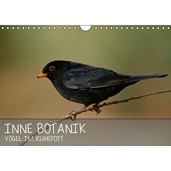 INNE BOTANIK - Vögel im Ruhrpott (Wandkalender 2016 DIN A4 quer), Alexander Krebs