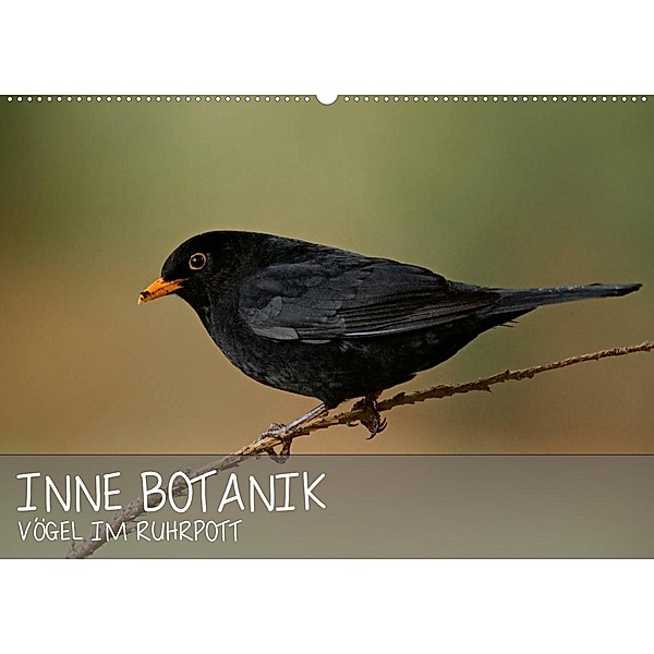 INNE BOTANIK - Vögel im Ruhrpott (Wandkalender 2023 DIN A2 quer), Alexander Krebs