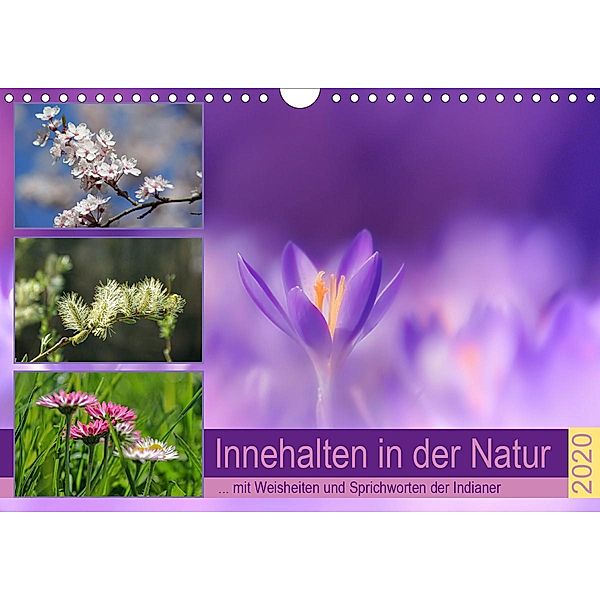 Innehalten in der Natur ... mit Weisheiten und Sprichworten der Indianer (Wandkalender 2020 DIN A4 quer), Susan Michel