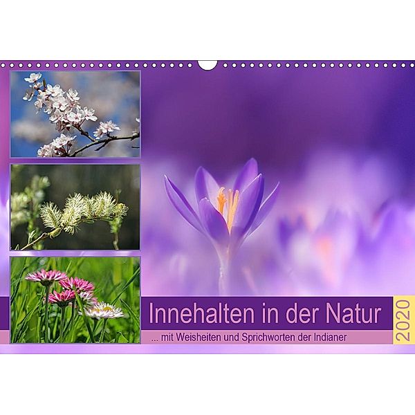 Innehalten in der Natur ... mit Weisheiten und Sprichworten der Indianer (Wandkalender 2020 DIN A3 quer), Susan Michel