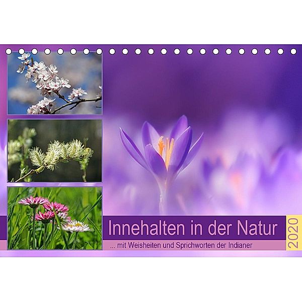 Innehalten in der Natur ... mit Weisheiten und Sprichworten der Indianer (Tischkalender 2020 DIN A5 quer), Susan Michel