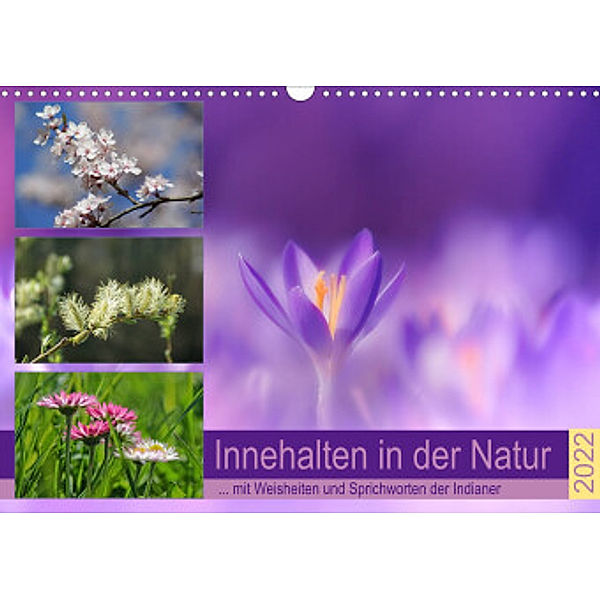 Innehalten in der Natur ... mit Weisheiten und Sprichworten der Indianer (Wandkalender 2022 DIN A3 quer), Susan Michel