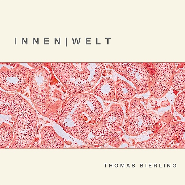 Innen - Welt, Thomas Bierling